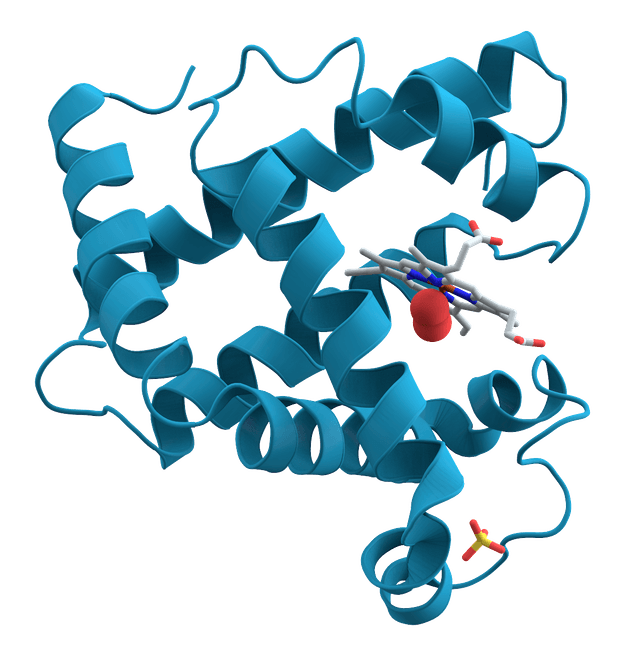 ProteinViz